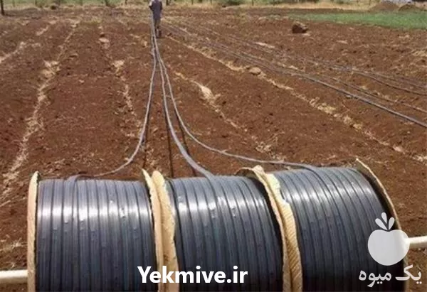 قیمت خرید نوار تیپ پلاک دار در اصفهان در گروه خرید و فروش نوار تیپ در یکمیوه -عکس1