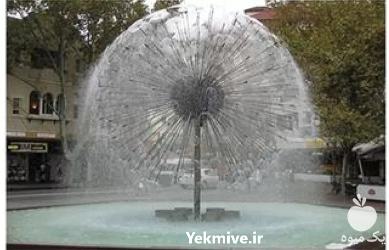 فضای سبز مه پاش در شیراز در گروه سازنده در یکمیوه -عکس1