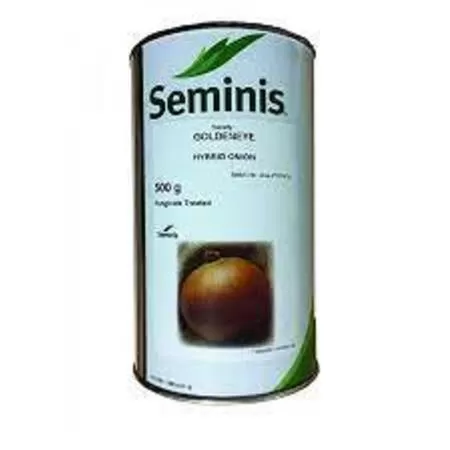 قیمت خرید بذر پیاز گلدن ای در گروه خرید و فروش بذر پیاز در یکمیوه -عکس1