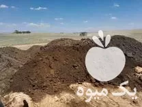 قیمت خرید کود گوسفند در خمین در گروه خرید و فروش کود گوسفندی در یکمیوه -عکس1