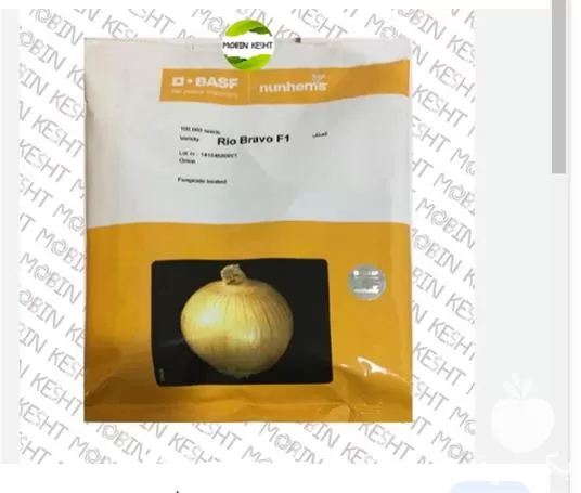 قیمت خرید بذر پیاز ریو براوو در ارومیه در گروه خرید و فروش بذر پیاز در یکمیوه -عکس1