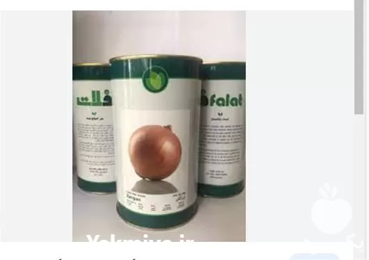 قیمت خرید بذر پیاز طلایی زرگان در ارومیه در گروه خرید و فروش بذر پیاز در یکمیوه -عکس1