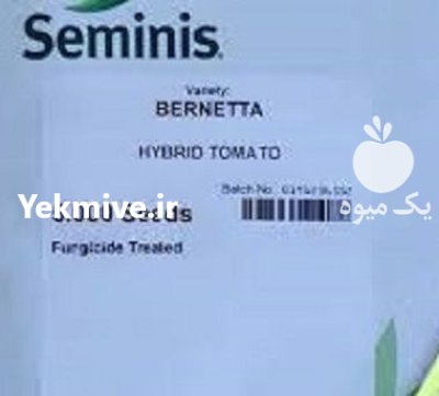 فروش بذر گوجه پربار برنتا سیمینس در گروه خرید و فروش بذر گوجه در یکمیوه -عکس1