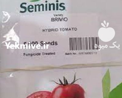 فروش بذر گوجه فرنگی بریویو سمینیس در تهران در گروه خرید و فروش بذر گوجه در یکمیوه -عکس1