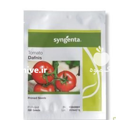 فروش بذر گوجه فرنگی دافنیس در گروه خرید و فروش بذر گوجه در یکمیوه -عکس1