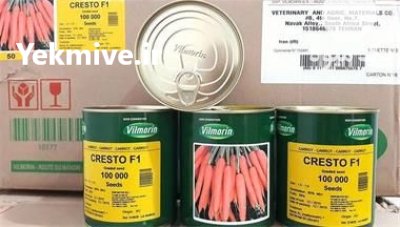 فروش بذر هویج کریستو ویلمورین در گروه خرید و فروش بذر هویج در یکمیوه -عکس1
