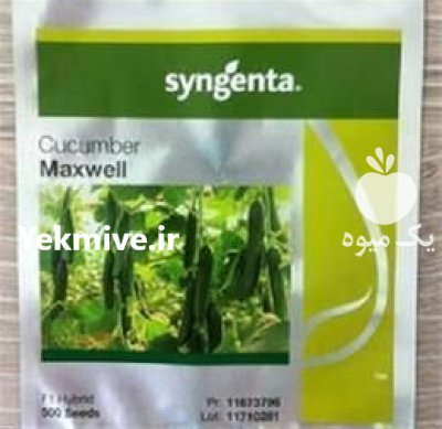 فروش بذر خیار ماکسول سینجینتا در گروه خرید و فروش بذر خیار در یکمیوه -عکس1