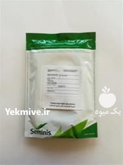 فروش بذر پیاز 4043 سیمینس آمریکا در اهواز در گروه خرید و فروش بذر پیاز در یکمیوه -عکس2