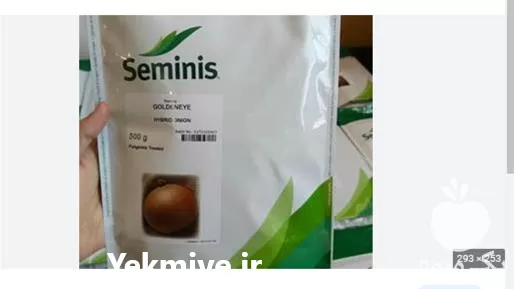 قیمت خرید بذر پیاز والنسیانا تاردیا در ارومیه در گروه خرید و فروش بذر پیاز در یکمیوه -عکس1