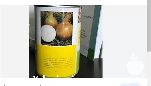 فروش بذر پیاز گالیسیا در ارومیه در گروه خرید و فروش بذر پیاز در یکمیوه -عکس1