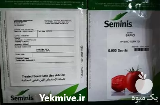 فروش بذر گوجه فرنگی بریویو نسبتا در اهواز در گروه خرید و فروش بذر گوجه در یکمیوه -عکس1