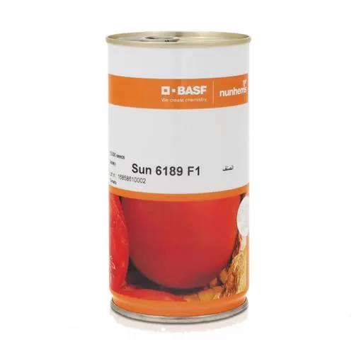 قیمت خرید بذر گوجه فرنگی سانسید در گروه خرید و فروش بذر گوجه در یکمیوه -عکس1