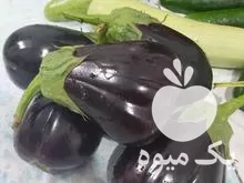 فروش بادمجون و کدوی بدون سم در خلیل شهر در گروه خرید و فروش کدو در یکمیوه -عکس1