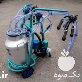 گاو فروش گاو دوش در تهران در گروه تجهیزات دامداری در یکمیوه -عکس1