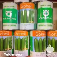 فروش بذر خیار سهیل در مشهد در گروه خرید و فروش بذر خیار در یکمیوه