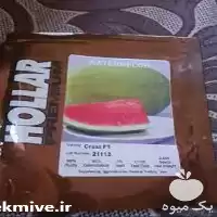 فروش بذر هندوانه هولار در اصفهان در گروه خرید و فروش بذر هندوانه در یکمیوه