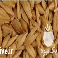 قیمت خرید جو آبی تمیز در تهران در گروه خرید و فروش گندم و جو در یکمیوه