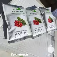 فروش بذر تربچه انیل در سنندج در گروه خرید و فروش انواع بذر در یکمیوه