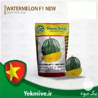 بذر هندوانه آناناسی خرید بذر هندوانه در رشت در گروه خرید و فروش بذر هندوانه در یکمیوه