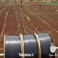 قیمت خرید نوار تیپ پلاک دار در اصفهان در گروه خرید و فروش نوار تیپ در یکمیوه