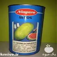فروش بذر هندوانه نیاگارا در تهران در گروه خرید و فروش بذر هندوانه در یکمیوه