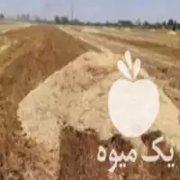 فروش کاه و کلش دیم در کرمانشاه در گروه خوراک دام و طیور در یکمیوه