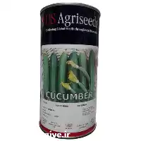 فروش بذر خیار یو اس اگریسیدز در مشهد در گروه خرید و فروش بذر خیار در یکمیوه