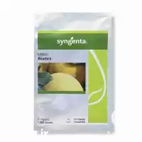 قیمت خرید بذر خربزه بشرا سینجینتا در گروه خرید و فروش بذر خربزه در یکمیوه