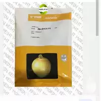 قیمت خرید بذر پیاز ریو براوو در ارومیه در گروه خرید و فروش بذر پیاز در یکمیوه