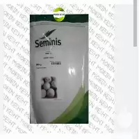 فروش بذر پیاز هیبرید سایروس سمینیس در ارومیه در گروه خرید و فروش بذر پیاز در یکمیوه