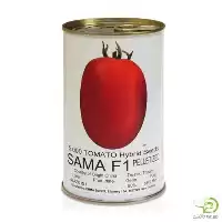 قیمت خرید بذر گوجه سما اماسیدز در اهواز در گروه خرید و فروش بذر گوجه در یکمیوه