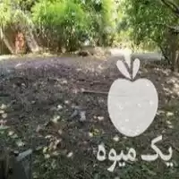 چمن زنی علف زنی در گروه خدمات باغبانی در یکمیوه