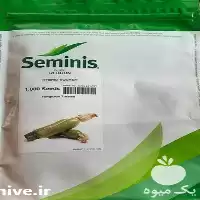 بذر کدو کلاریتا فروش بذر کدو در اهواز در گروه خرید و فروش بذر کدو در یکمیوه