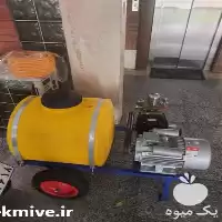 قیمت خرید سم پاش برقی در کرج در گروه خرید و فروش سمپاش در یکمیوه