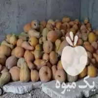 قیمت خرید کدو حلوایی در نوکنده در گروه خرید و فروش کدو تنبل در یکمیوه