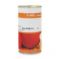 قیمت خرید بذر گوجه فرنگی سانسید در گروه خرید و فروش بذر گوجه در یکمیوه