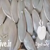 قیمت خرید تخمه کدو مشهدی در دلند در گروه خرید و فروش انواع تخمه در یکمیوه