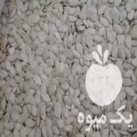 فروش تخمه کدو اجیلی در گروه خرید و فروش انواع تخمه در یکمیوه
