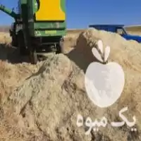 فروش کاه گندم و جو دیم در اردبیل در گروه خوراک دام و طیور در یکمیوه