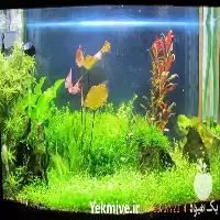 دوره آموزشی پرورش گیاهان