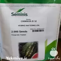 عرضه و فروش بذر هندوانه b 32 در اصفهان در گروه خرید و فروش بذر هندوانه در یکمیوه