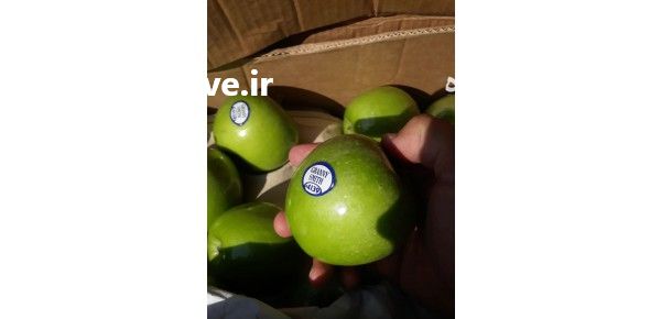 فروش سیب سبز گرنی اسمیت وارداتی در تهران در گروه خرید و فروش سیب در یکمیوه -عکس1