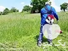 علف زنی باغ یونجه با دستگاه در بجنورد در گروه خدمات باغبانی در یکمیوه -عکس1