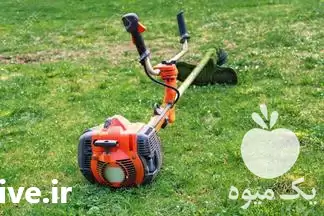 علف زنی باغات به صورت حرفه در مراغه در گروه خدمات باغبانی در یکمیوه -عکس1