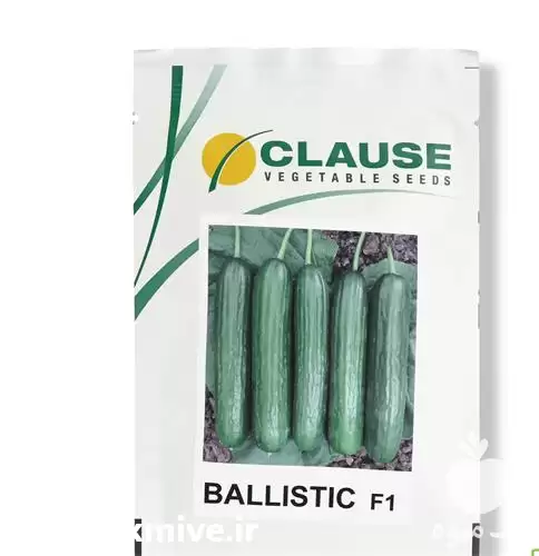 قیمت خرید عرضه بذر خیار بالستیک در شیراز در گروه خرید و فروش بذر خیار در یکمیوه -عکس1