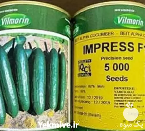 قیمت خرید بذر خیار ایمپرس محصول در تهران در گروه خرید و فروش بذر خیار در یکمیوه -عکس1