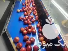 قیمت خرید دستگاه سورتینگ در ساری در گروه خرید و فروش دستگاه سورتینگ در یکمیوه -عکس1