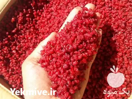 قیمت خرید عمده زرشک قاینات در بیرجند در گروه خرید و فروش زرشک در یکمیوه -عکس1