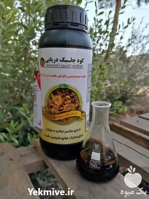 فروش کود مایع جلبک دریایی در تهران در گروه خرید و فروش کود مایع در یکمیوه -عکس1