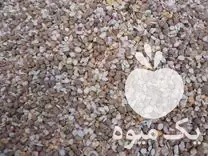 فروش نخود خرد شده مخصوص دان در گروه خوراک دام و طیور در یکمیوه -عکس1